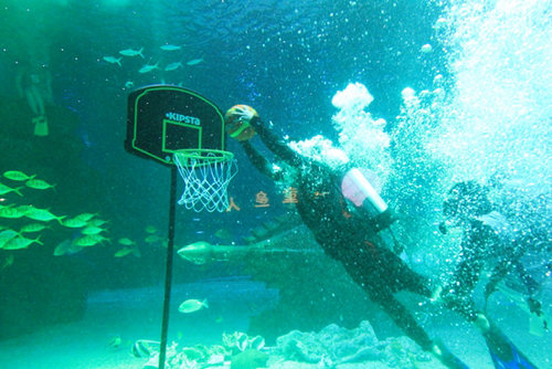 海底打篮球 户外打水仗 极地成市民避暑乐园