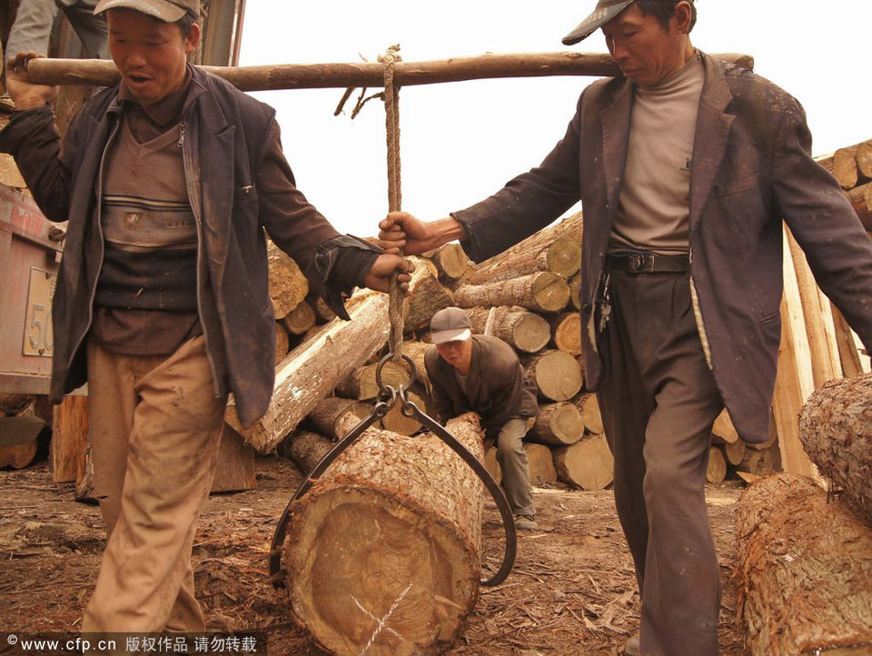 贵州毕节赏杜鹃+不料山下有个棺材镇