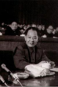 纪念胡耀邦逝世25周年