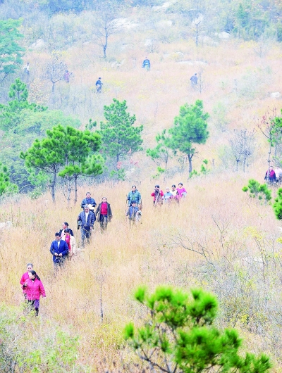 黄陂有多少人口_黄陂热线电话号码多少(2)