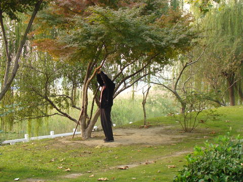 婆婆撞树健身 竟撞成腰椎骨折_湖北频道_凤凰网