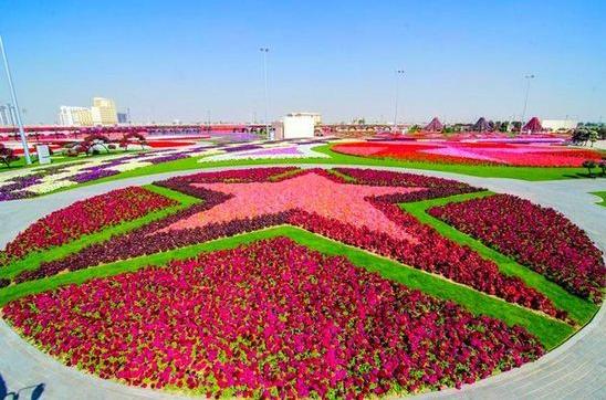 奇趣客|看看土豪国迪拜的奇迹花园