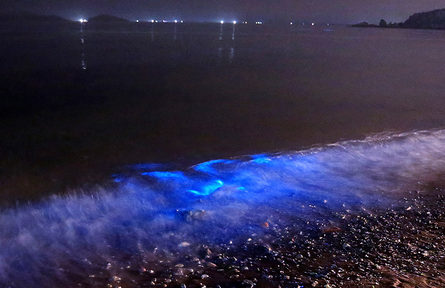 晚上的大海是什么颜色 rdn_53604b3cba1c3.jpg