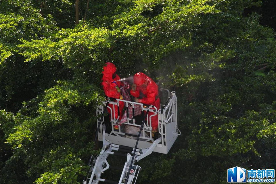 图片记录:深圳消防队一周内摘除13个水桶大马