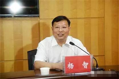 杨智被提名为荆州市人民政府市长候选人