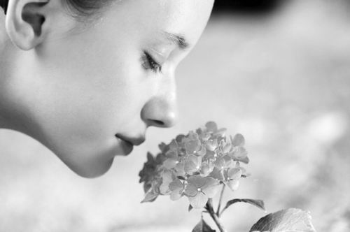 人类通过嗅觉汲取植物的气味