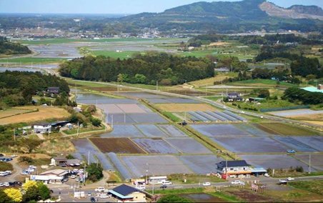 实拍日本最偏远农村住房:稀土如金 精致实用