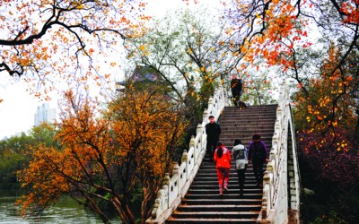 镜头下合肥池州安庆三市 记录城市森林精彩(组