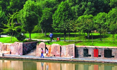 镜头下合肥池州安庆三市 记录城市森林精彩(组