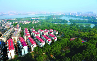 镜头下合肥池州安庆三市 记录城市森林精彩(组