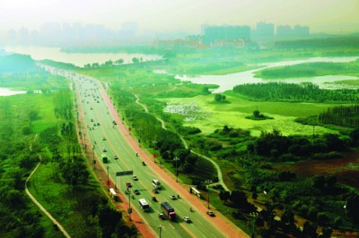 镜头下合肥池州安庆三市 记录城市森林精彩(组