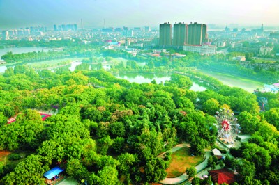 镜头下合肥池州安庆三市 记录城市森林精彩(组