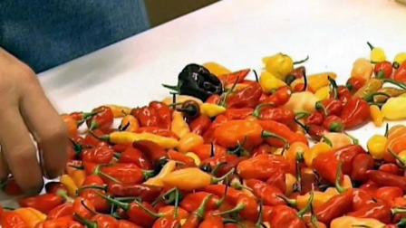 最辣的辣椒品种“卡罗来纳死神”。