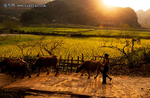 寻找最后的桃花源 云南坝美自助游攻略_旅游攻略
