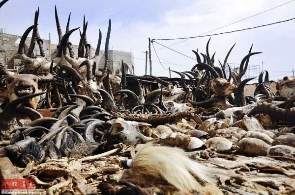 揭秘世界上最大的黑魔法市场(高清组图)_黑龙江频道_凤凰网