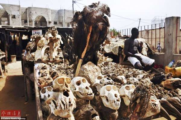 揭秘世界上最大的黑魔法市场(高清组图)_黑龙江频道_凤凰网