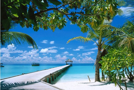 媒体谈东北人去哪儿:戏称黑龙江省三亚市