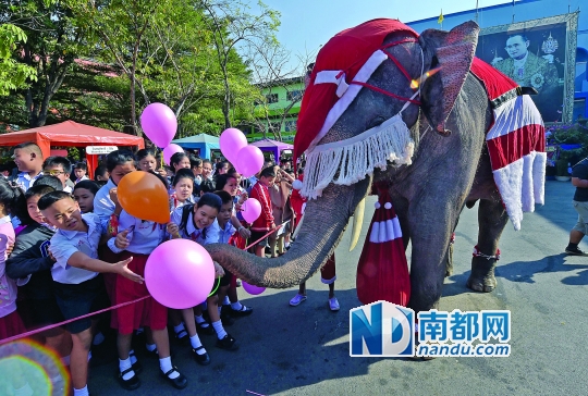 这个寒假 带上孩子旅途学艺去(图)