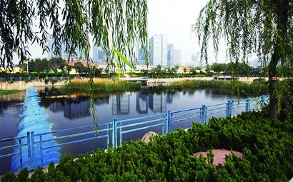 河道栽植万株绿化树 青岛张村河变城市氧吧