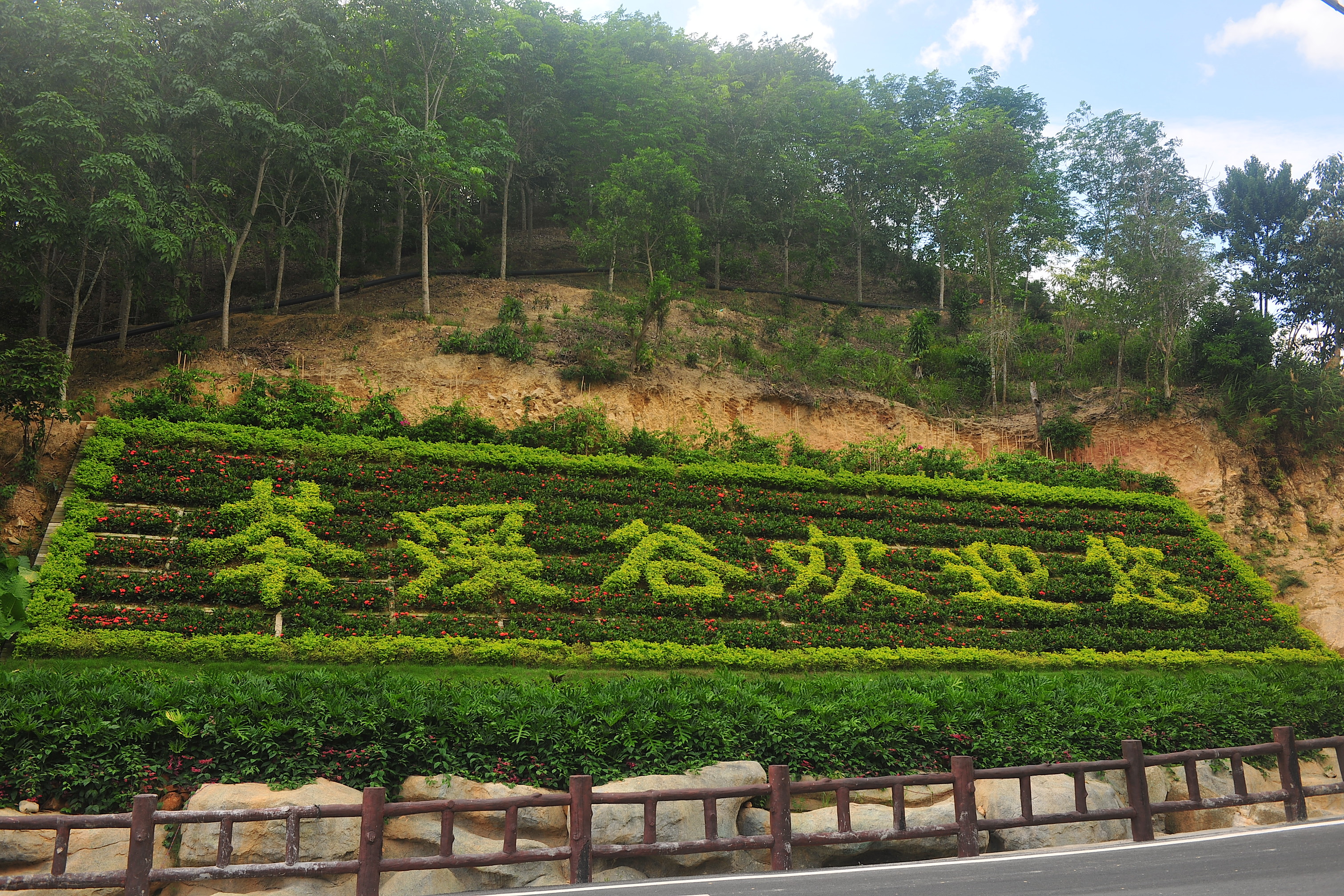 常青茶溪谷 北纬18°旅游度假养生胜地雏形初现