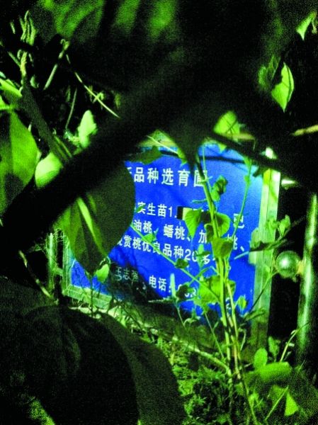 点击进入下一页