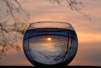 一日禅:让心静下来,回归赤子之心