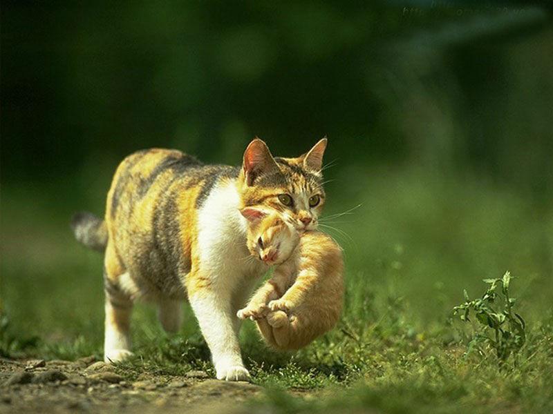 【育儿】老人<em>带孩子</em>该注意什么_频道_凤凰网