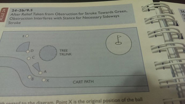 判例学习:合理利用高尔夫规则的妙处_海南频道_凤凰网