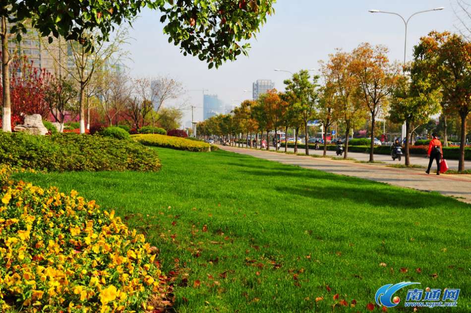 南通:工农南路两侧绿化靓丽如公园