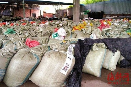 福建古田縣查獲35噸致癌金針菇(組圖)