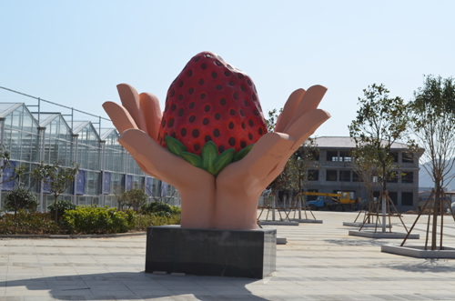 城阳草莓采摘游名气大新加坡游客团来品尝 青岛频道 凤凰网