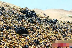 黑龙江中储粮火灾原因调查