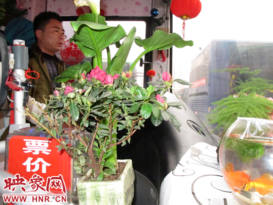 郑州B18车长将绿植和金鱼搬进车厢 网友点赞