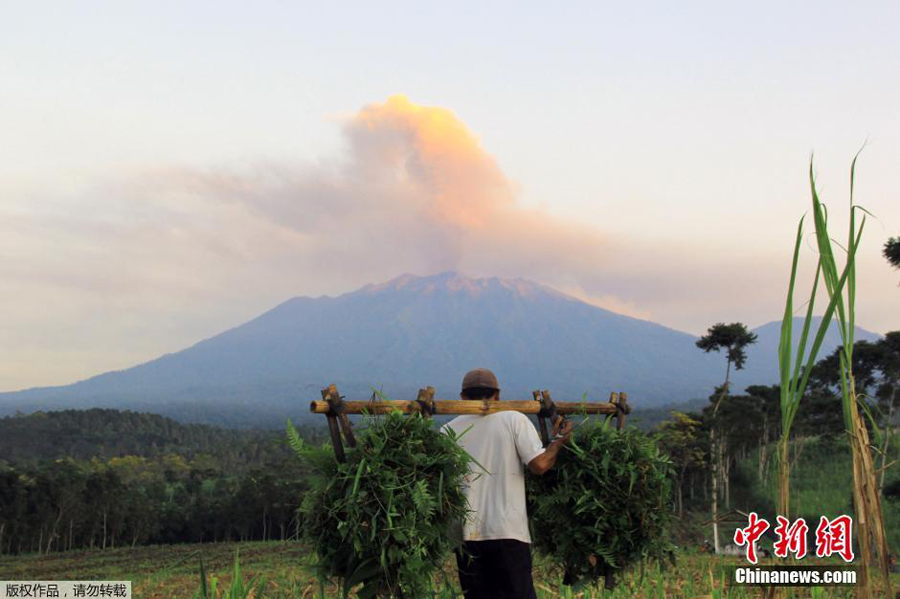 印尼拉翁火山持续喷发火山灰直窜云霄达3300米
