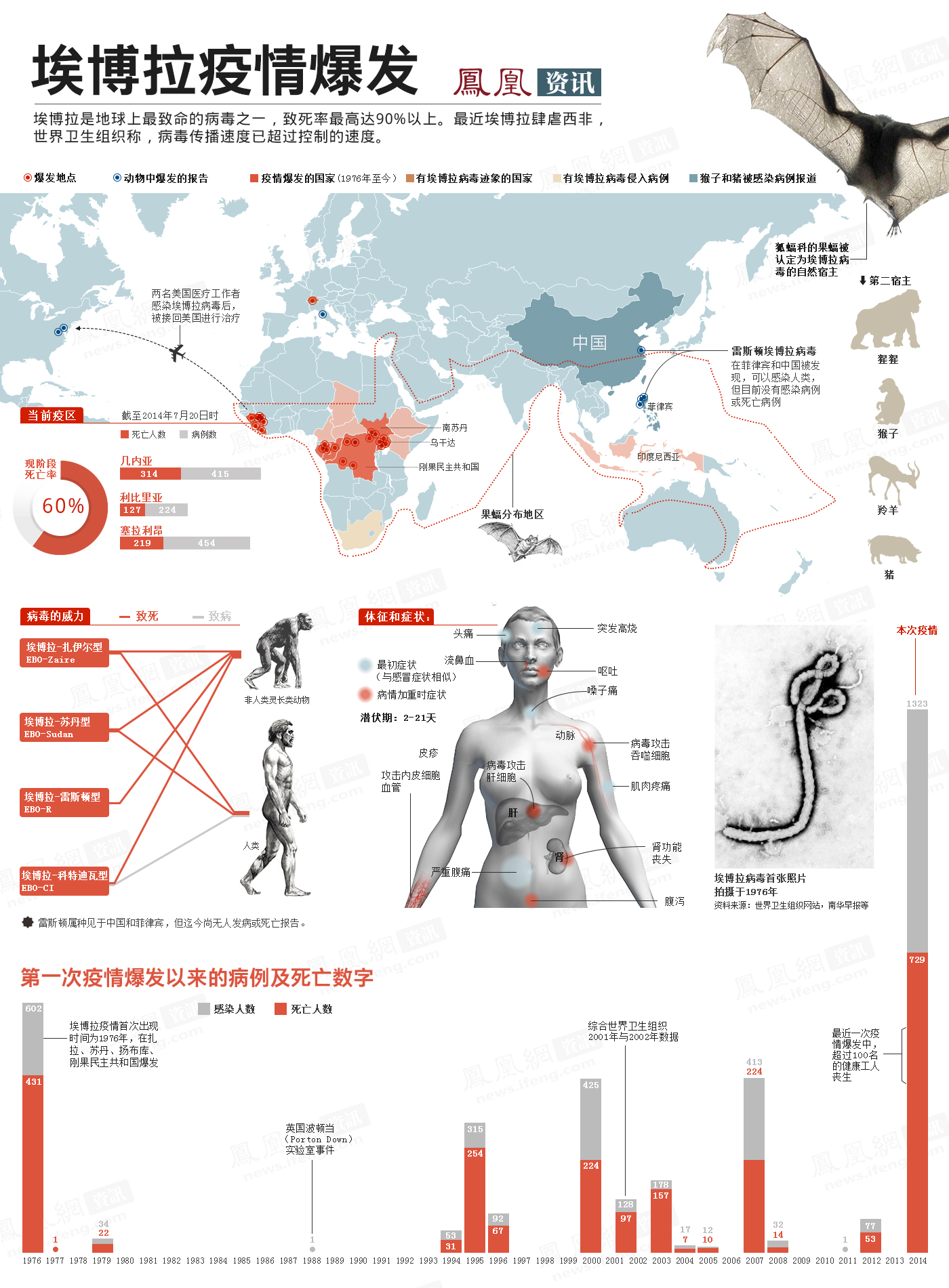 图解埃博拉疫情爆发 [点击查看完整]