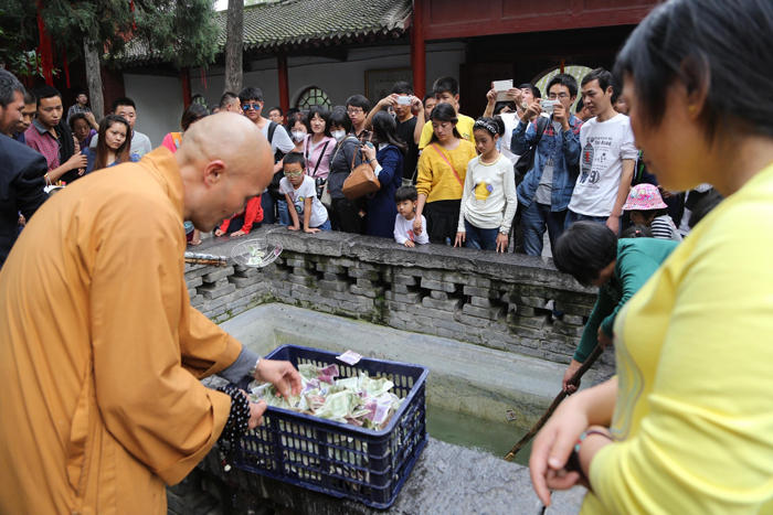 洛阳各县人口_洛阳各区县的这些问题,能闭着眼答上来的我服你(2)