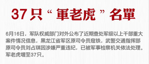 37只“军老虎”名单