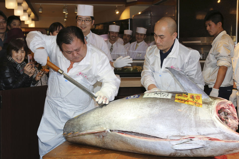 哪里买金枪鱼 d7b47c8e02f6bfe.jpg