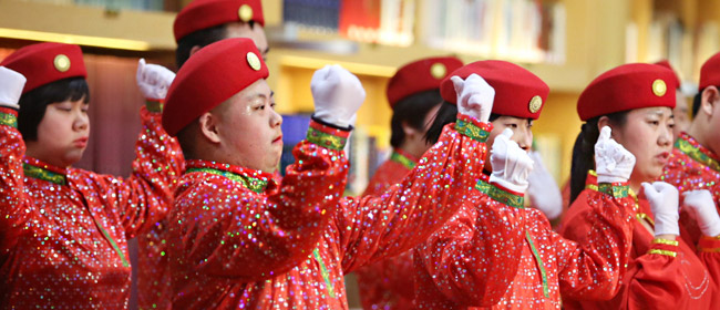 “点亮星星音乐帮助计划-音乐公益演出”在国家大剧院举行