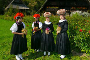 带你去世界十大最美森林吸氧