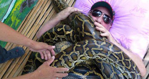 孕妇梦见黄蟒蛇，寓意与解析的深度探索