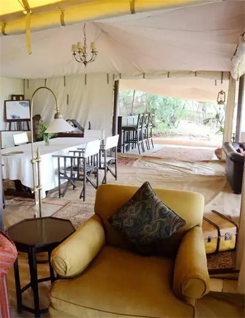 去肯尼亚看动物迁徙 唤醒心中雄狮|肯尼亚|动物