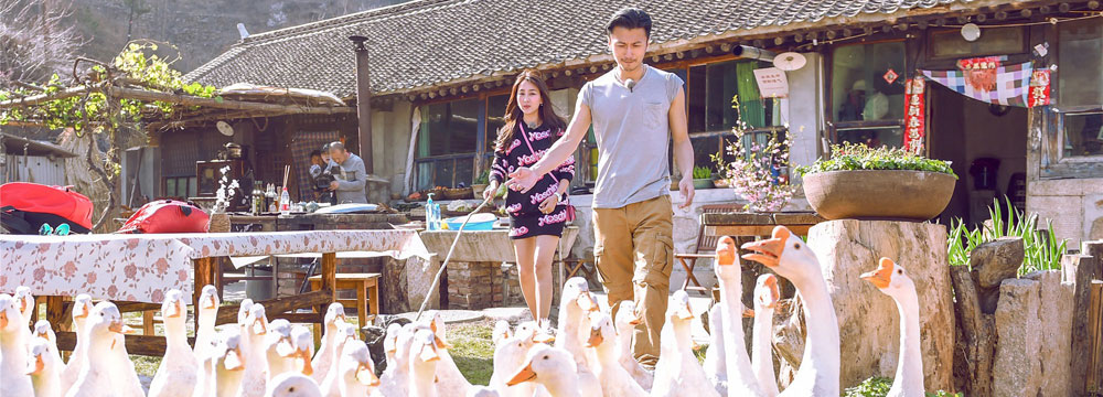 马苏陈伟霆加盟《十二道锋味》 众星齐赶鸭子做烤鸭  