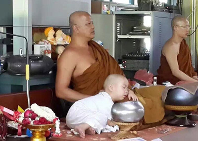 泰国小和尚走红 打坐瞌睡萌翻网友