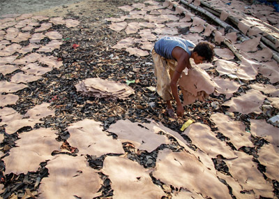 世界上污染最严重的皮革厂