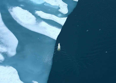 冰缘线上的生活