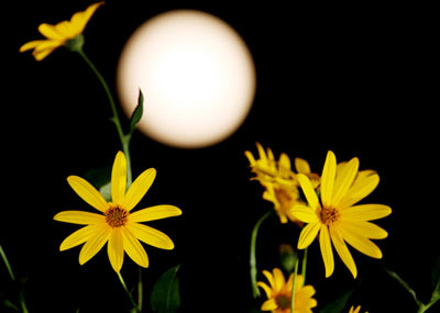 全国各地的中秋节月亮