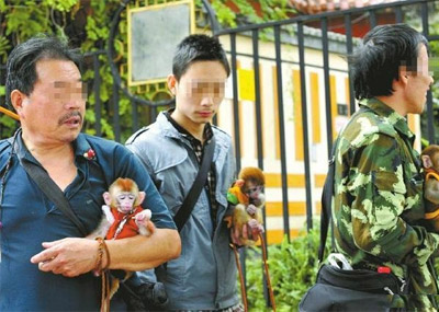 男子硬塞小猴游客怀里拍照 一次10元