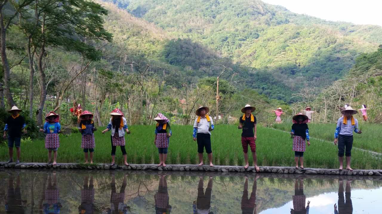 头城农场，游客体验插秧。