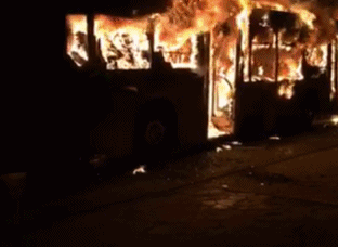 6bc5f5850bdb6a8size232_w312_h228.gif